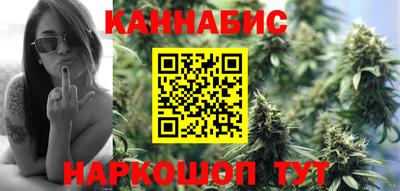 индика Малгобек