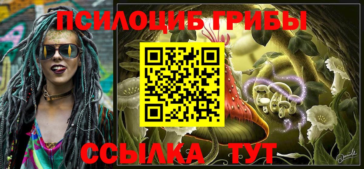 Псилоцибиновые грибы мухоморы Горячий Ключ