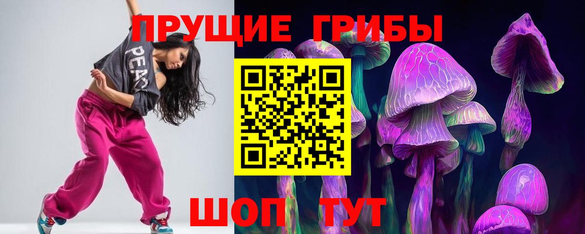 Псилоцибиновые грибы Psilocybe  Вход с VPN  Горячий Ключ 